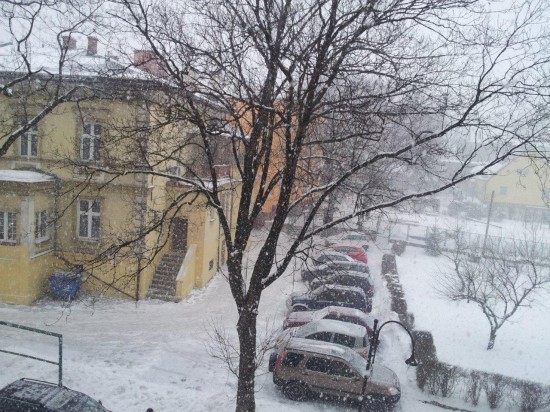 Skończyły się wielkie mrozy i... -