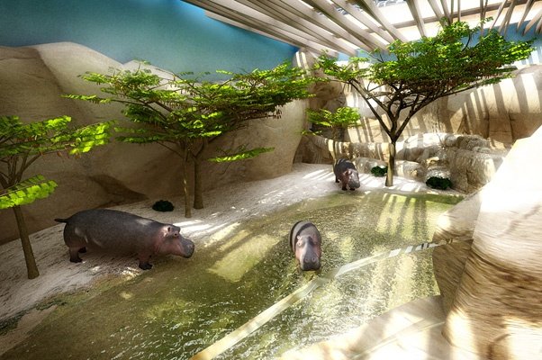 Co nowego we wrocławskim Zoo? - 31