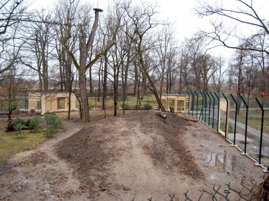 Co nowego we wrocławskim Zoo? - 3