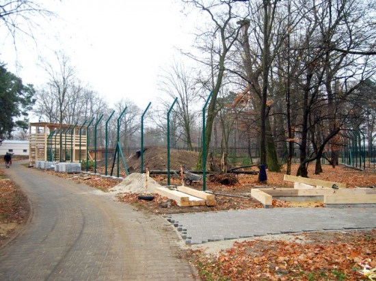 Co nowego we wrocławskim Zoo? - 6