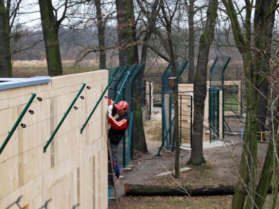 Co nowego we wrocławskim Zoo? - 5