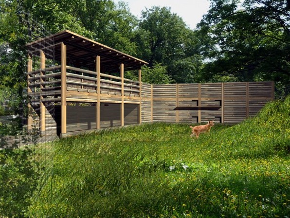 Co nowego we wrocławskim Zoo? - 2