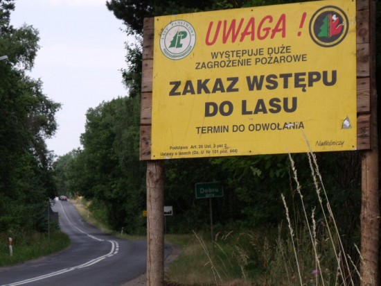 Zakaz wstępu do lasu... ignorowany - fot. Piotr Słowiński