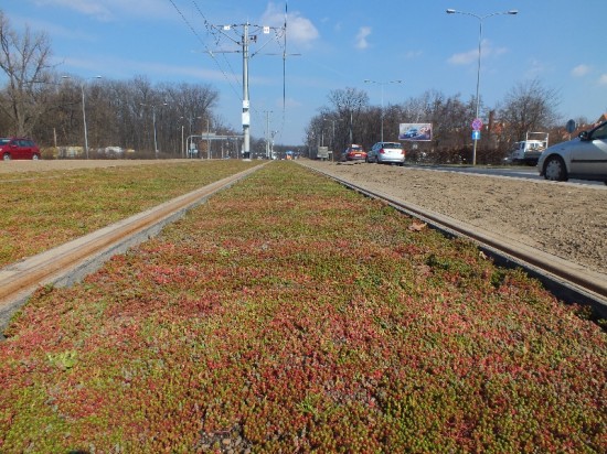 Tramwaj Plus pojechał na Kozanów  - 3