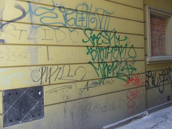 Wrocław tonie w śmieciach? (Zobacz) - 19