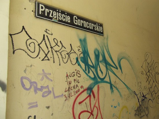 Wrocław tonie w śmieciach? (Zobacz) - 10