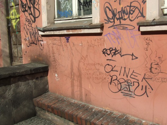 Wrocław tonie w śmieciach? (Zobacz) - 13