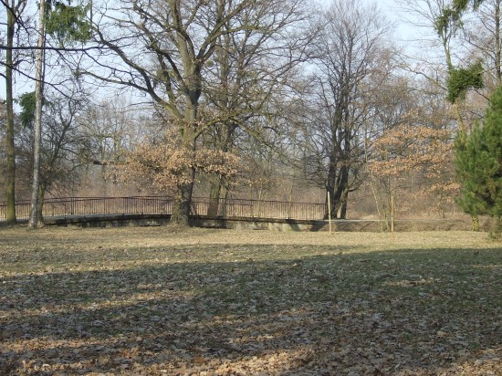 Wiosna już oficjalnie w kalendarzu - 8