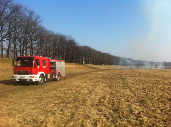 Wypalanie traw nad Odrą - 5