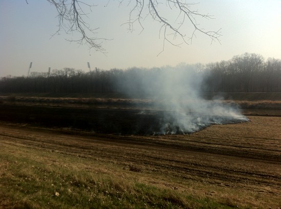 Wypalanie traw nad Odrą - 1