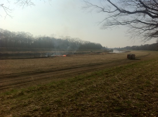 Wypalanie traw nad Odrą - 0