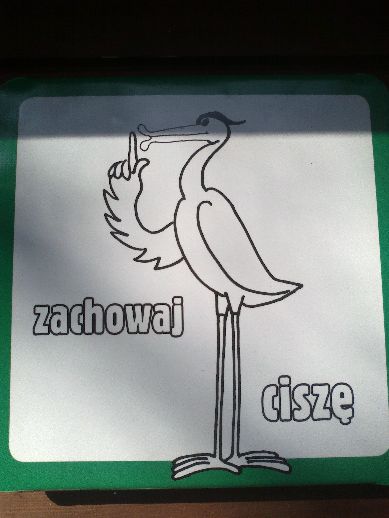 Ekologiczne safari już dostępne - 12