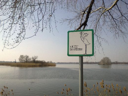 Ekologiczne safari już dostępne - 16