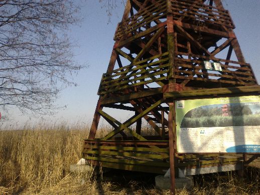 Ekologiczne safari już dostępne - 5