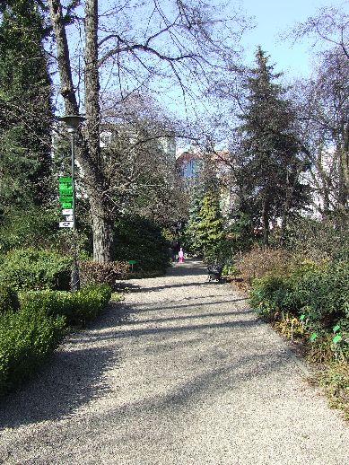 Ogród Botaniczny już otwarty (Zdjęcia) - 37