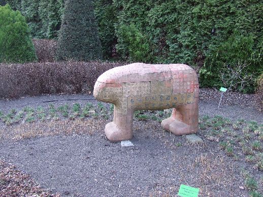 Ogród Botaniczny już otwarty (Zdjęcia) - 1