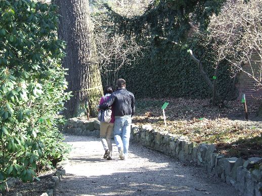 Ogród Botaniczny już otwarty (Zdjęcia) - 12