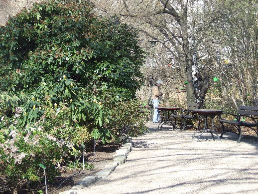 Ogród Botaniczny już otwarty (Zdjęcia) - 24