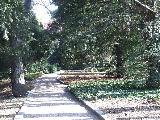 Ogród Botaniczny już otwarty (Zdjęcia) - 40