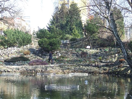 Ogród Botaniczny już otwarty (Zdjęcia) - 11