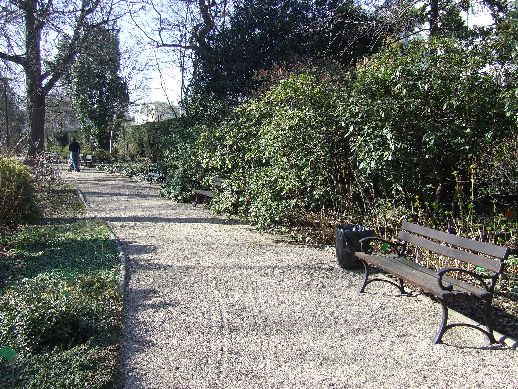 Ogród Botaniczny już otwarty (Zdjęcia) - 42