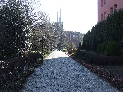 Ogród Botaniczny już otwarty (Zdjęcia) - 0