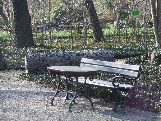 Ogród Botaniczny już otwarty (Zdjęcia) - 44