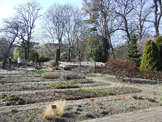 Ogród Botaniczny już otwarty (Zdjęcia) - 33