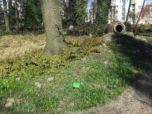 Ogród Botaniczny już otwarty (Zdjęcia) - 38