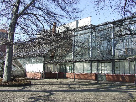 Ogród Botaniczny już otwarty (Zdjęcia) - 6