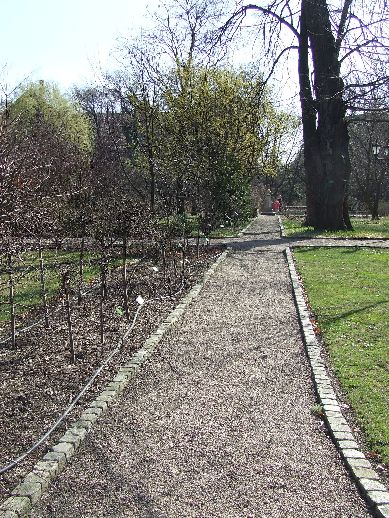 Ogród Botaniczny już otwarty (Zdjęcia) - 5