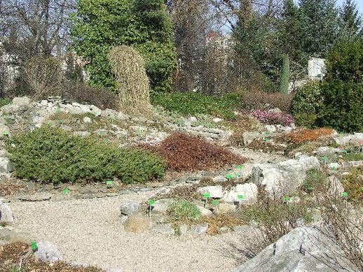 Ogród Botaniczny już otwarty (Zdjęcia) - 28