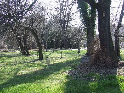Ogród Botaniczny już otwarty (Zdjęcia) - 3