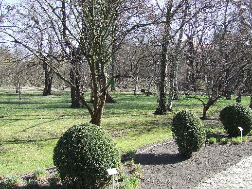 Ogród Botaniczny już otwarty (Zdjęcia) - 2