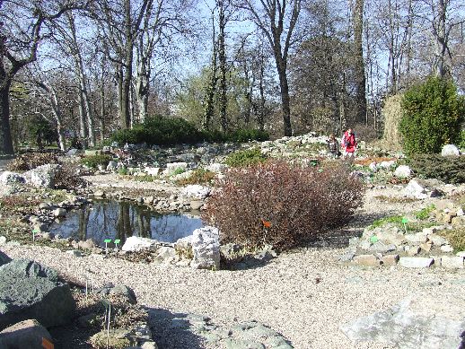 Ogród Botaniczny już otwarty (Zdjęcia) - 30