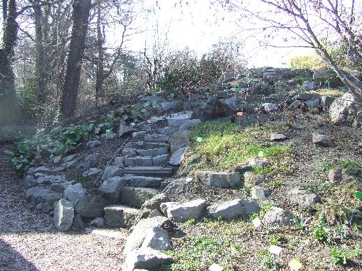 Ogród Botaniczny już otwarty (Zdjęcia) - 29