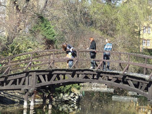Ogród Botaniczny już otwarty (Zdjęcia) - 18