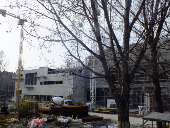 Wiecha na Bibliotechu - 1