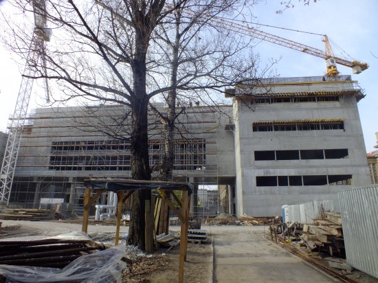 Wiecha na Bibliotechu - 3