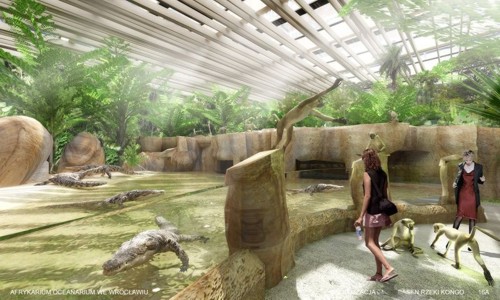 Rusza budowa Afrykarium (Zobacz) - 4