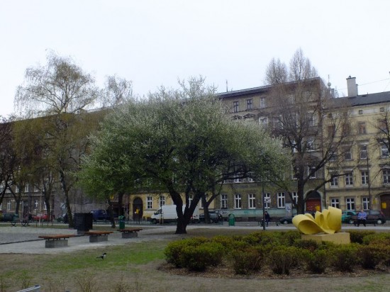 Wrocław remontuje parki i skwery - 15