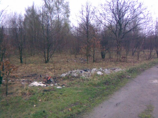 Zablokują ulice w czasie Euro? - 9