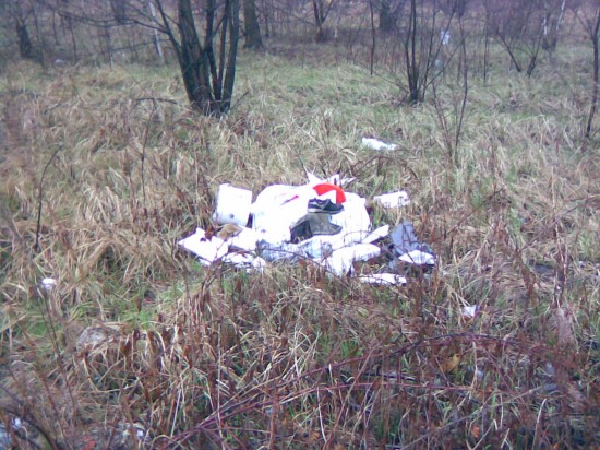 Zablokują ulice w czasie Euro? - 4