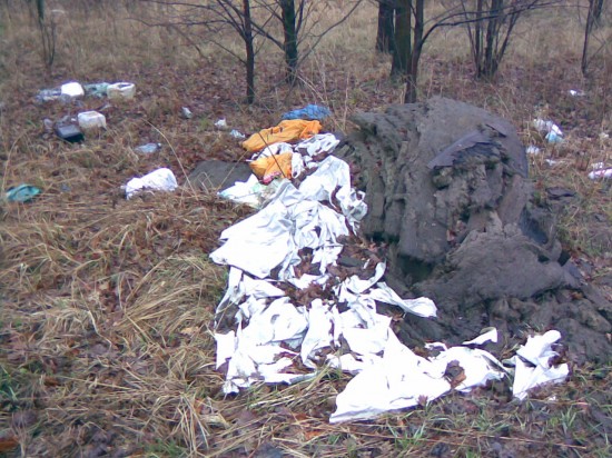 Zablokują ulice w czasie Euro? - 5