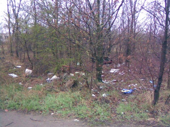 Zablokują ulice w czasie Euro? - 8