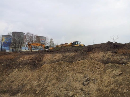 Bogatynia pomidorowym zagłębiem - 1