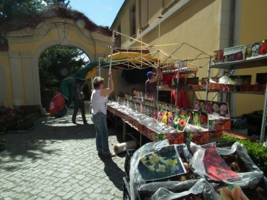 Zamek Książ w kwiatach - 30
