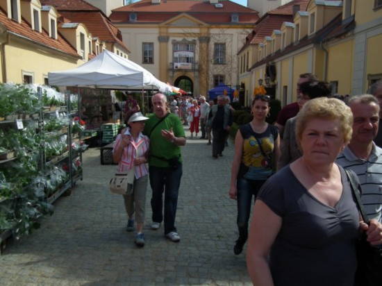 Zamek Książ w kwiatach - 4