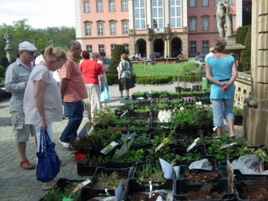 Zamek Książ w kwiatach - 3