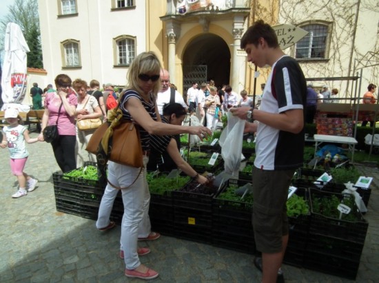 Zamek Książ w kwiatach - 38